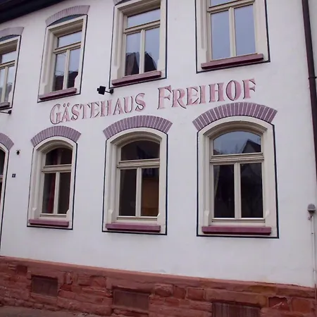 Freihof Vendégház Wiesloch